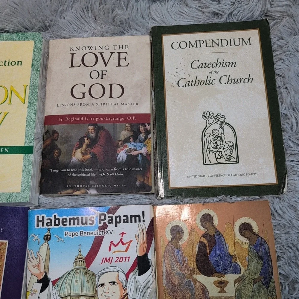 Lot of 16 Catholic Books Theology Prayer  Spirituality Diary Devotional Psalms‎